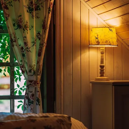 펜션 Victoria Z Sauna 사시노